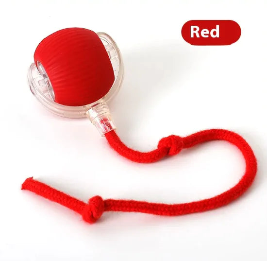Interactive Chirping Cat Toy Ball – Motion-Activated Rolling Fun