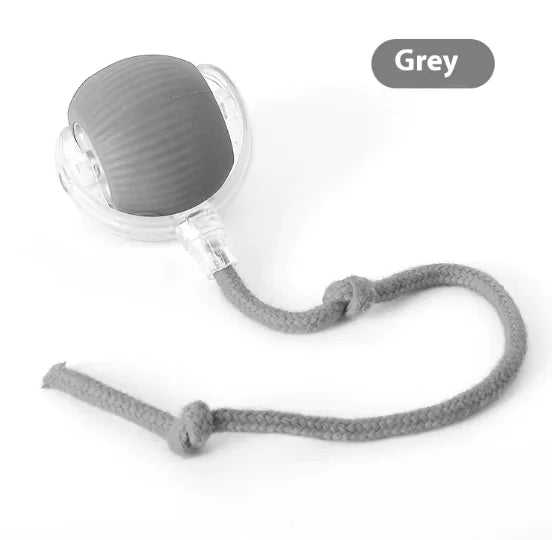 Interactive Chirping Cat Toy Ball – Motion-Activated Rolling Fun