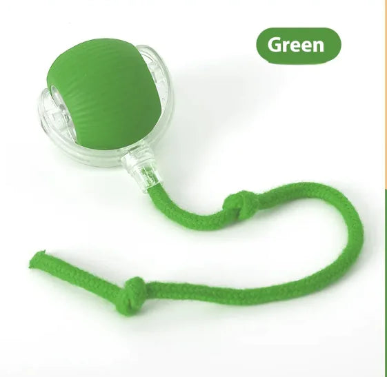 Interactive Chirping Cat Toy Ball – Motion-Activated Rolling Fun