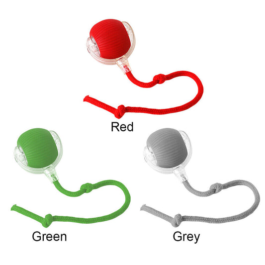 Interactive Chirping Cat Toy Ball – Motion-Activated Rolling Fun